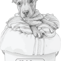 SallyStrong Thumbnail